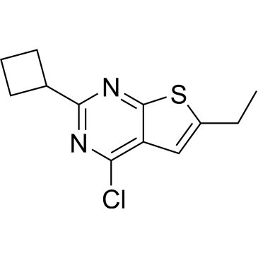 4-Chloro-2-cyclobutyl-6-ethylthieno[2,3-d]pyrimidine|CS-0296736