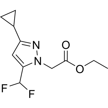 Ethyl 2-(3-cyclopropyl-5-(difluoromethyl)-1h-pyrazol-1-yl)acetate|CS-0299141