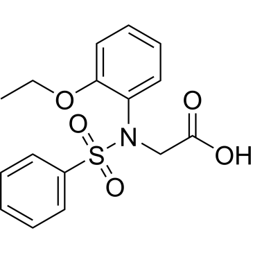 N-(2-Ethoxyphenyl)-N-(phenylsulfonyl)glycine|CS-0299501
