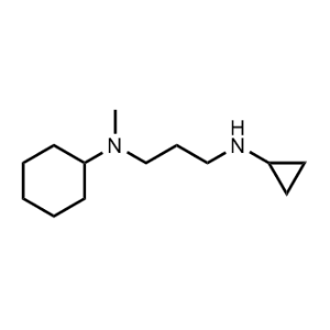 N1-Cyclohexyl-N3-cyclopropyl-N1-methylpropane-1,3-diamine|CS-0300452