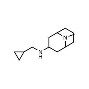N-(Cyclopropylmethyl)-9-methyl-9-azabicyclo[3.3.1]nonan-3-amine|CS-0300864