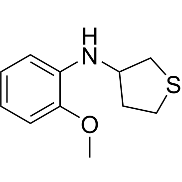 N-(2-Methoxyphenyl)tetrahydrothiophen-3-amine|CS-0303224