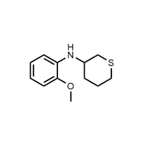 N-(2-Methoxyphenyl)tetrahydro-2H-thiopyran-3-amine|CS-0303225