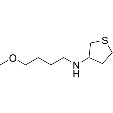 N-(4-Methoxybutyl)tetrahydrothiophen-3-amine|CS-0303481