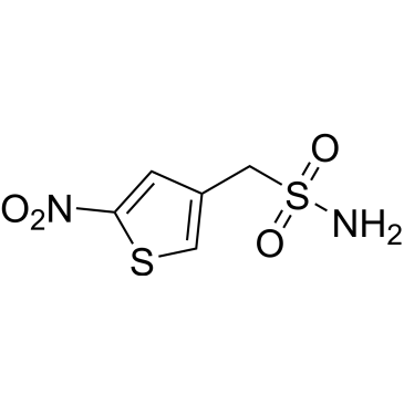 5-Nitro-3-thiophenemethanesulfonamide|CS-0303802