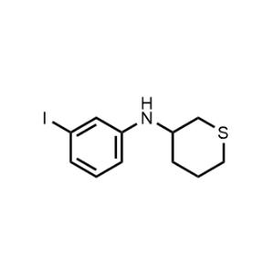 N-(3-Iodophenyl)tetrahydro-2H-thiopyran-3-amine|CS-0304907
