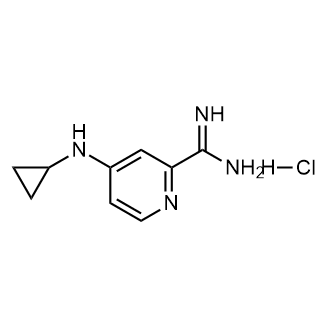 4-(Cyclopropylamino)picolinimidamide hydrochloride|CS-0306013