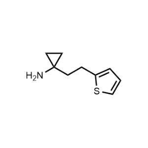 1-(2-(Thiophen-2-yl)ethyl)cyclopropan-1-amine|CS-0306944
