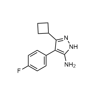 3-Cyclobutyl-4-(4-fluorophenyl)-1h-pyrazol-5-amine|CS-0307213