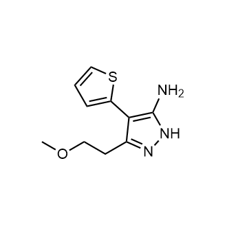 3-(2-Methoxyethyl)-4-(thiophen-2-yl)-1h-pyrazol-5-amine|CS-0307260