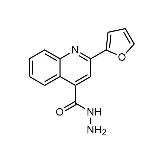 2-(Furan-2-yl)quinoline-4-carbohydrazide|CS-0307656