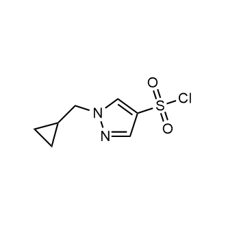 1-(Cyclopropylmethyl)-1H-pyrazole-4-sulfonyl chloride|CS-0309088