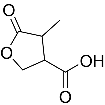 4-Methyl-5-oxotetrahydrofuran-3-carboxylic acid|CS-0312931