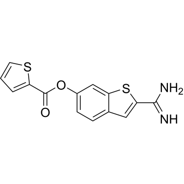 CS-0313