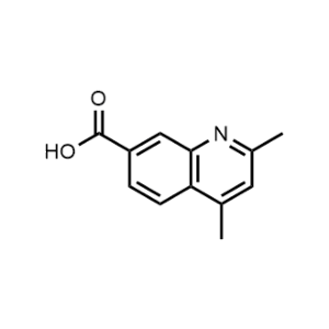 2,4-Dimethylquinoline-7-carboxylic acid|CS-0313351