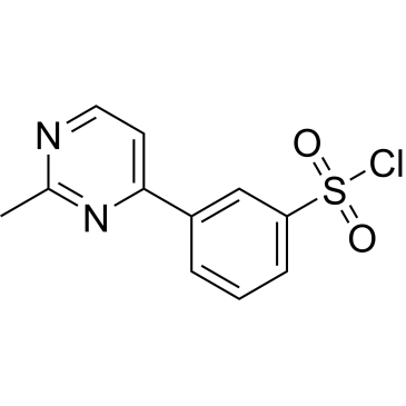 3-(2-Methylpyrimidin-4-yl)benzenesulfonyl chloride|CS-0314028