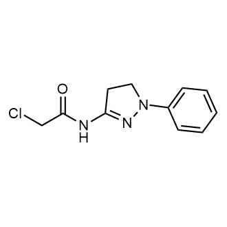 2-Chloro-N-(1-phenyl-4,5-dihydro-1H-pyrazol-3-yl)acetamide|CS-0317231