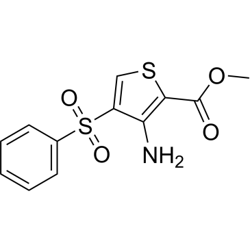 Methyl 3-amino-4-(phenylsulfonyl)thiophene-2-carboxylate|CS-0318424