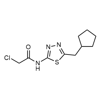 2-Chloro-N-(5-(cyclopentylmethyl)-1,3,4-thiadiazol-2-yl)acetamide|CS-0319135