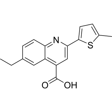 6-Ethyl-2-(5-methylthiophen-2-yl)quinoline-4-carboxylic acid|CS-0319768