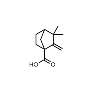 3,3-Dimethyl-2-methylenebicyclo[2.2.1]Heptane-1-carboxylic acid|CS-0321494