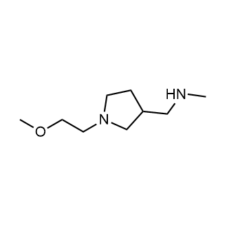 1-(1-(2-Methoxyethyl)pyrrolidin-3-yl)-N-methylmethanamine|CS-0321882