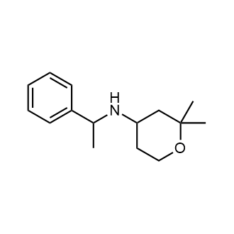 2,2-Dimethyl-N-(1-phenylethyl)tetrahydro-2H-pyran-4-amine|CS-0322881