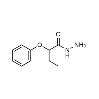 2-Phenoxybutanehydrazide|CS-0323668
