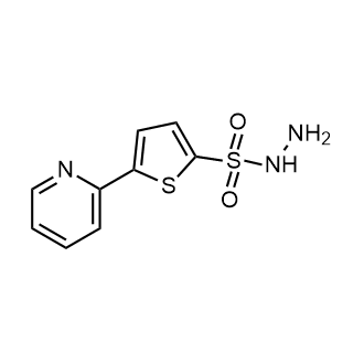 5-(Pyridin-2-yl)thiophene-2-sulfonohydrazide|CS-0324167