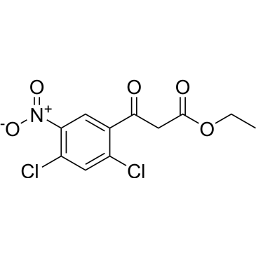 Ethyl 3-(2,4-dichloro-5-nitrophenyl)-3-oxopropanoate|CS-0324188