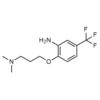 2-(3-(Dimethylamino)propoxy)-5-(trifluoromethyl)aniline|CS-0324380