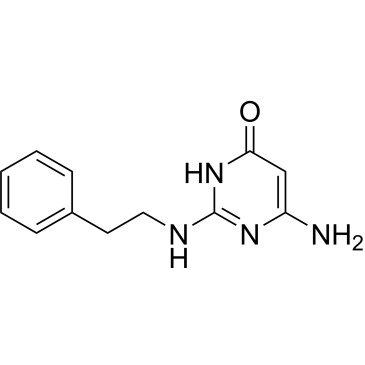 6-Amino-2-(phenethylamino)pyrimidin-4(3H)-one|CS-0324654