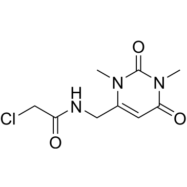 2-Chloro-N-((1,3-dimethyl-2,6-dioxo-1,2,3,6-tetrahydropyrimidin-4-yl)methyl)acetamide|CS-0324876