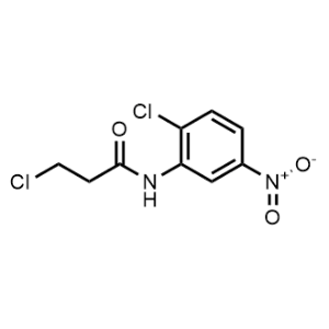 3-Chloro-N-(2-chloro-5-nitrophenyl)propanamide|CS-0330406