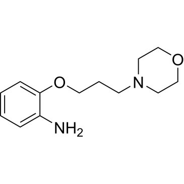2-(3-Morpholinopropoxy)aniline|CS-0330868