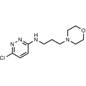 6-Chloro-N-(3-morpholinopropyl)pyridazin-3-amine|CS-0330959