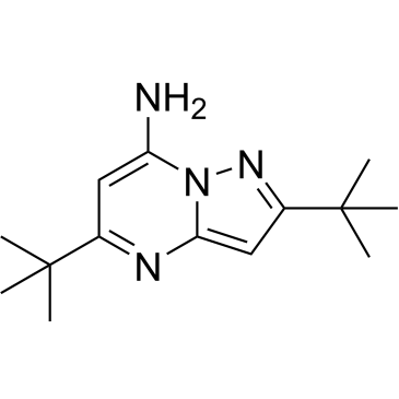 2,5-Di-tert-butylpyrazolo[1,5-a]pyrimidin-7-amine|CS-0331573