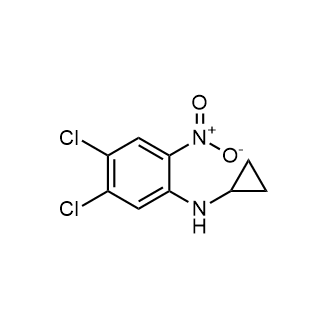4,5-Dichloro-N-cyclopropyl-2-nitroaniline|CS-0331636