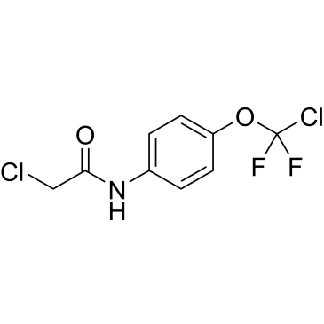 2-Chloro-N-(4-(chlorodifluoromethoxy)phenyl)acetamide|CS-0332435