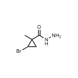 2-Bromo-1-methylcyclopropane-1-carbohydrazide|CS-0332719