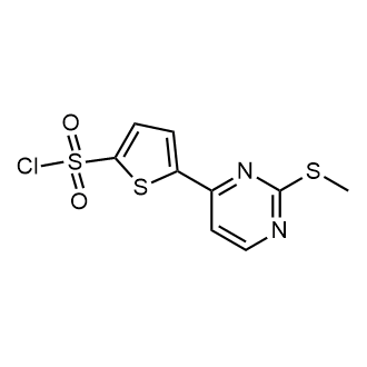 5-(2-(Methylthio)pyrimidin-4-yl)thiophene-2-sulfonyl chloride|CS-0333850