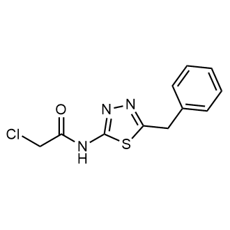 N-(5-benzyl-1,3,4-thiadiazol-2-yl)-2-chloroacetamide|CS-0333921