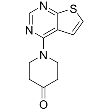 1-(Thieno[2,3-d]pyrimidin-4-yl)piperidin-4-one|CS-0335409