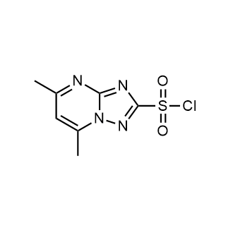 5,7-Dimethyl-[1,2,4]triazolo[1,5-a]pyrimidine-2-sulfonyl chloride|CS-0335814