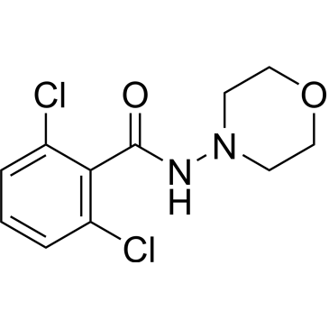 2,6-Dichloro-N-morpholinobenzamide|CS-0335997