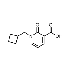 1-(Cyclobutylmethyl)-2-oxo-1,2-dihydropyridine-3-carboxylic acid|CS-0337166