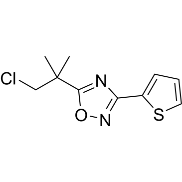 5-(1-Chloro-2-methylpropan-2-yl)-3-(thiophen-2-yl)-1,2,4-oxadiazole|CS-0337295