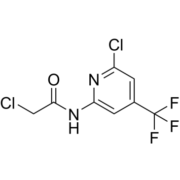 2-Chloro-N-(6-chloro-4-(trifluoromethyl)pyridin-2-yl)acetamide|CS-0337907