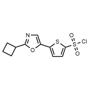 5-(2-Cyclobutyloxazol-5-yl)thiophene-2-sulfonyl chloride|CS-0338343