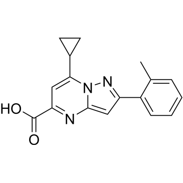 7-Cyclopropyl-2-(o-tolyl)pyrazolo[1,5-a]pyrimidine-5-carboxylic acid|CS-0338518